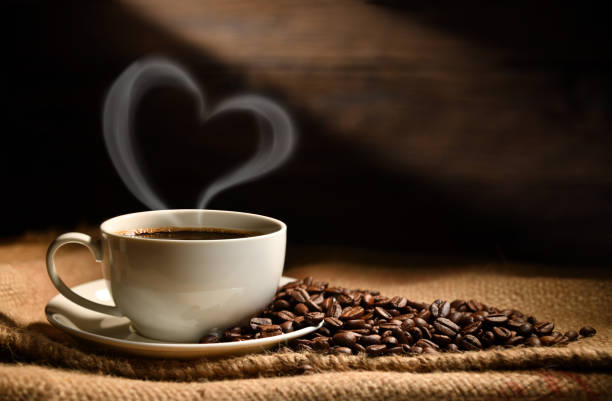 Café Explorer
